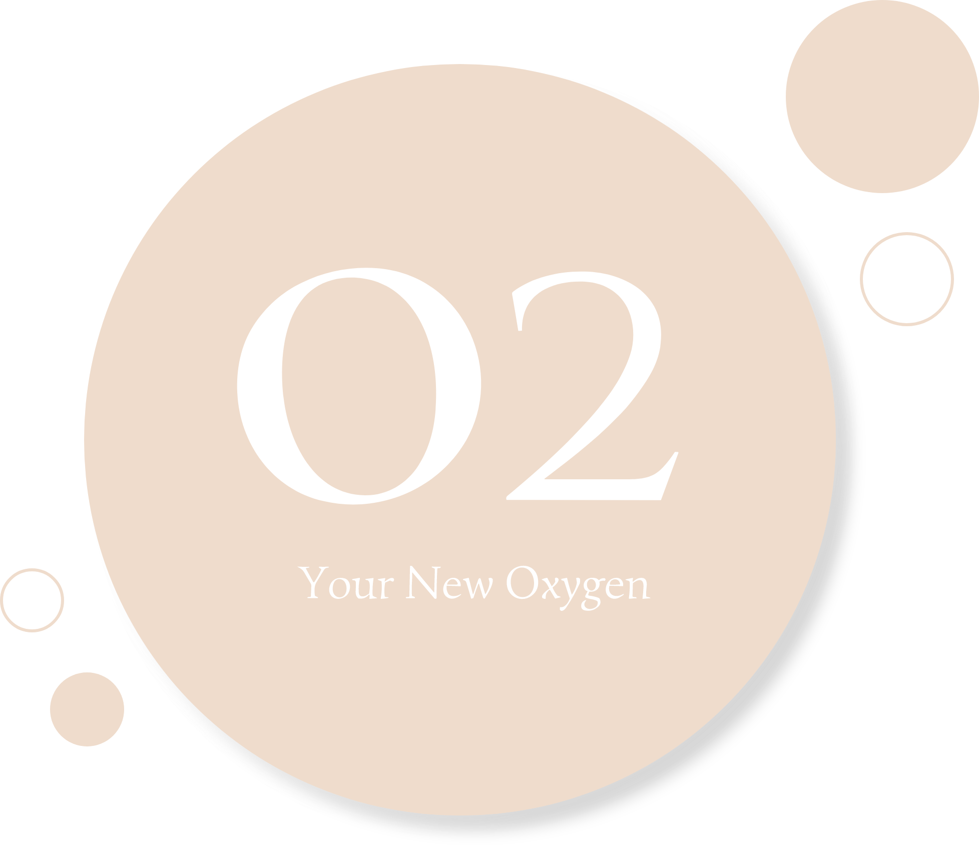 O2 Cafe Ceo O2 Cafe - Izghawa
